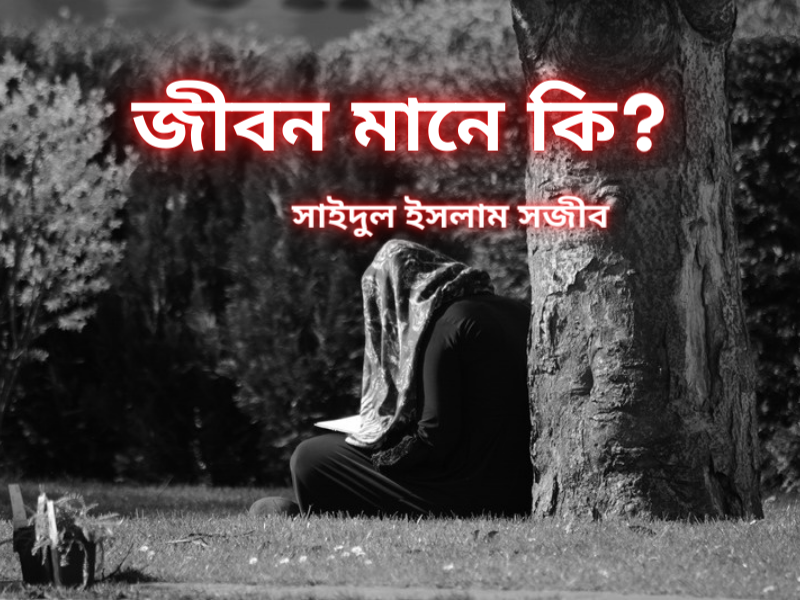 Read more about the article জীবন মানে কি?